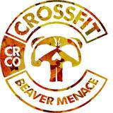 Bird Dog CrossFit