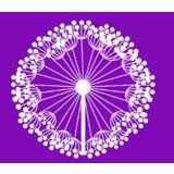 Mandira Pilates