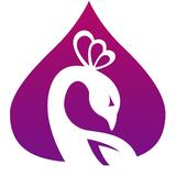 L.A. Bellydance Academy