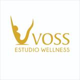 VOSSESTUDIO