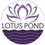Lotus Pond Center for Yoga and Health