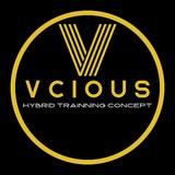Vcious Hybrid Trainning Concept Tlalnepantla