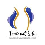 Pridavat Silu