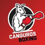 Canguros Boxing Lindavista