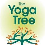 The Yoga Tree