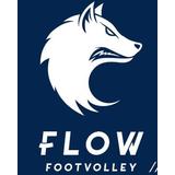 Flow Footvolley