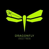 DRAGONFLY CYCLE + TRAIN