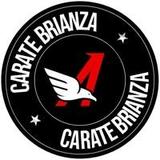 Action Fit Carate Brianza