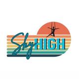 SkyHigh Aerial Fitness Studio