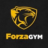 Mundo Forza Lomitas