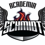 Academia Schmidt