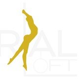 Aerial Loft