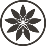 Body & Ballet Collective