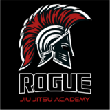 Rogue Jiu Jitsu Academy
