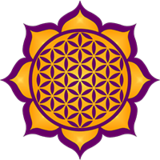 Yoga Flor da Vida