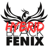 Bf Hybrid Studio